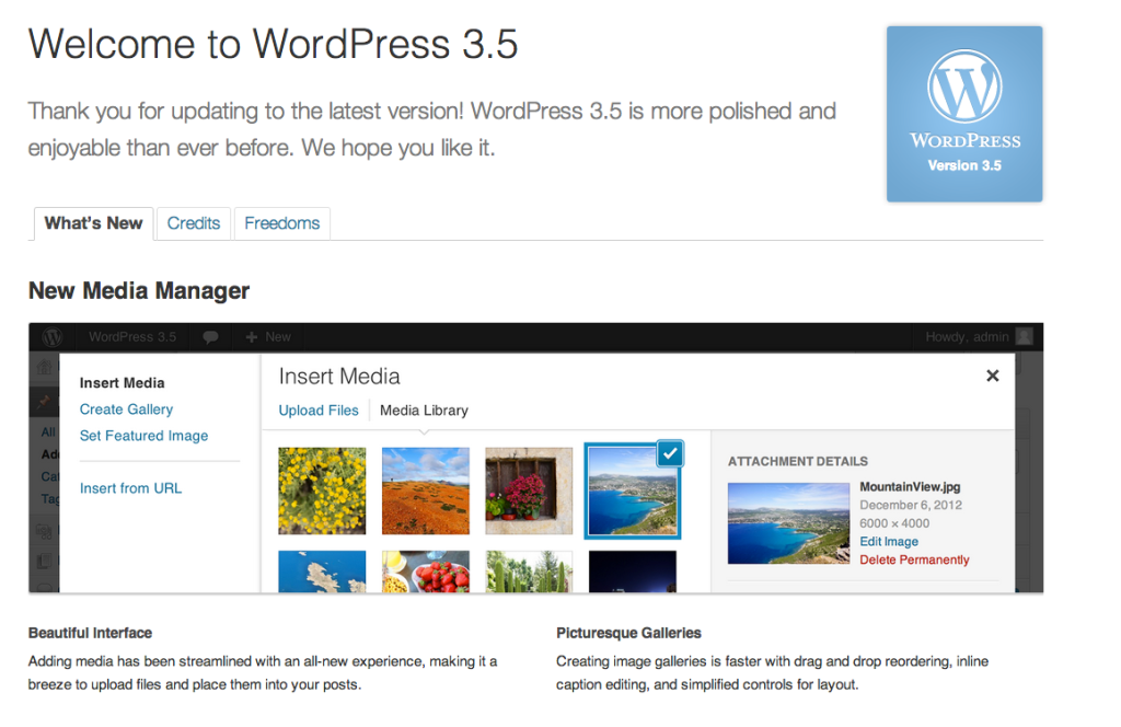 WordPress 3.5