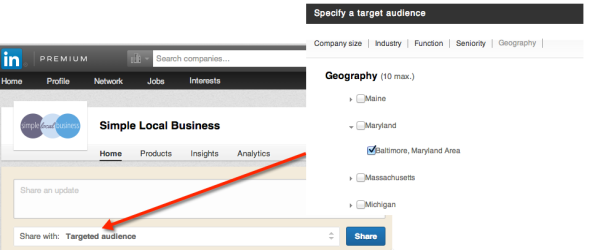 linkedin target audience