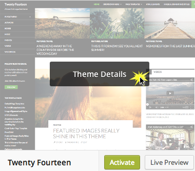 WordPress 3.9 theme details