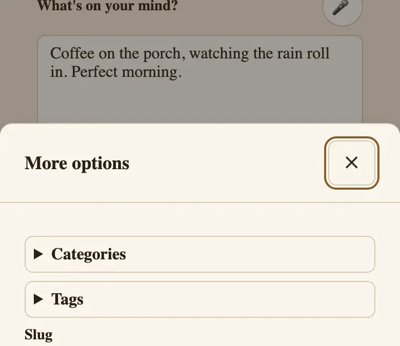 Mobile WordPress composer in Note mode with a “More options” panel for categories, tags, a custom URL slug, and syndication destinations including Instagram, Facebook, X, LinkedIn, Threads, TikTok, Pinterest, Reddit, and Flickr.