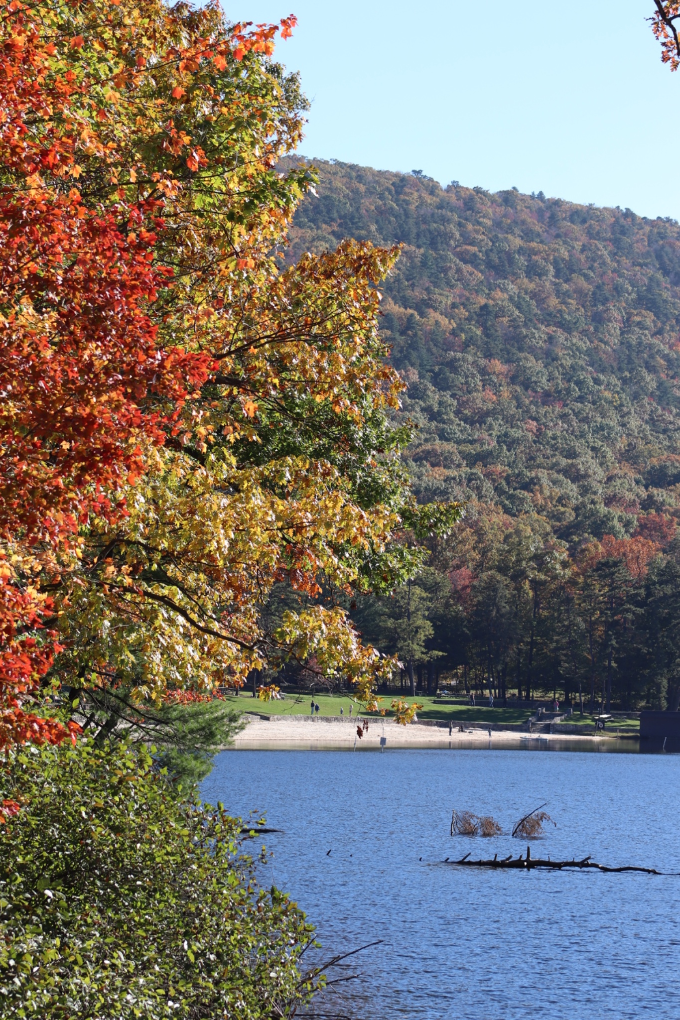 Bright red, orange, and yellow autumn leaves frame a view across a blue lake toward a sandy swimming beach beneath a forested mountain.